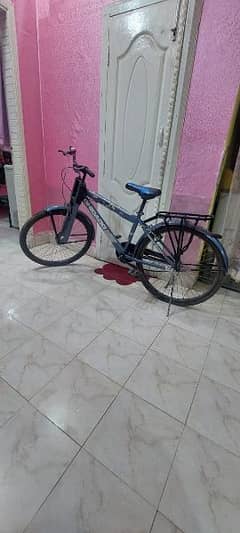 Cycle for sale