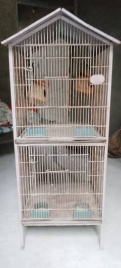 Hen & Parots Cage