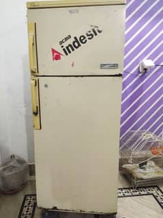 Indesit