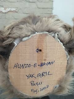 yak head for sale ,,, decoration in homes and cafes , restaurants etc