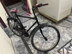 Phoenix Bicycle (26 inch)