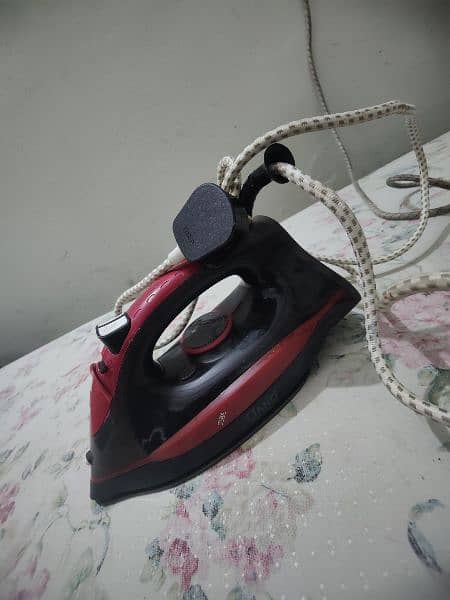 steam iron 1