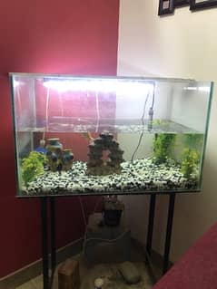 2.5 ft aquarium for sale