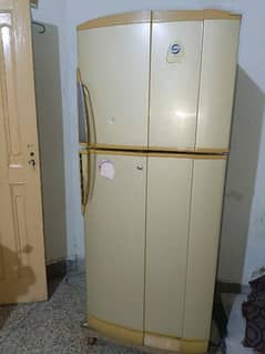 pel refrigerator forsale