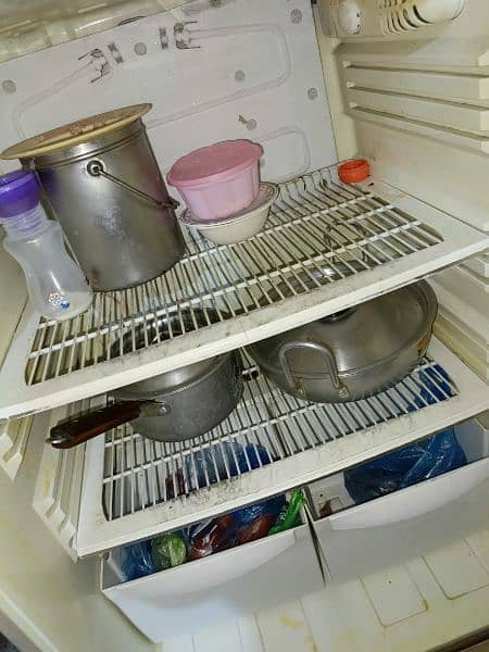 pel refrigerator forsale 4