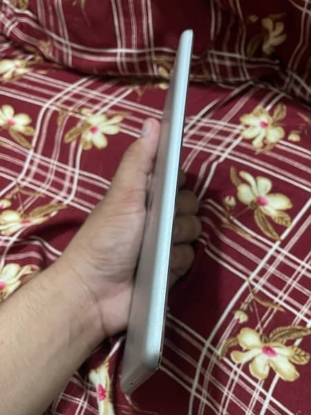 ipad mini Lush Condition 1