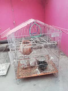 Cage urgently sell 0