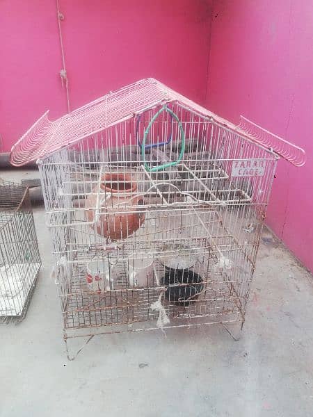 Cage urgently sell 4