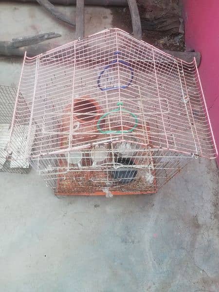 Cage urgently sell 7