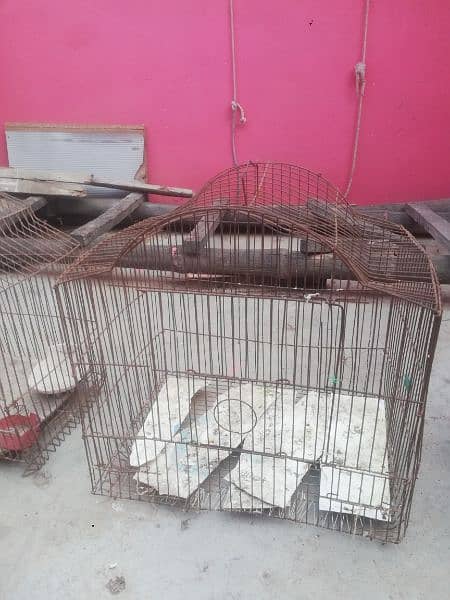 Cage urgently sell 8