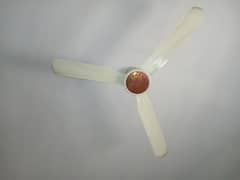 sogo ac dc fan