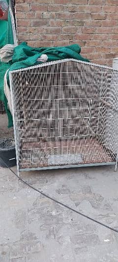 Colony Cage available 0