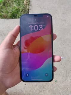 iphone 12 pro max jv unlock 256 gb