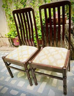 Dining Chairs