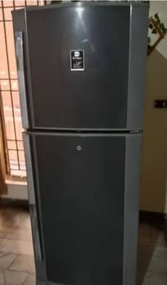 Dowlance Refrigrator