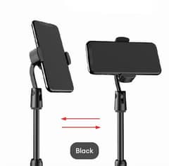 rotatable and liftable mobile stand 0