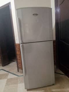 haier refrigerator