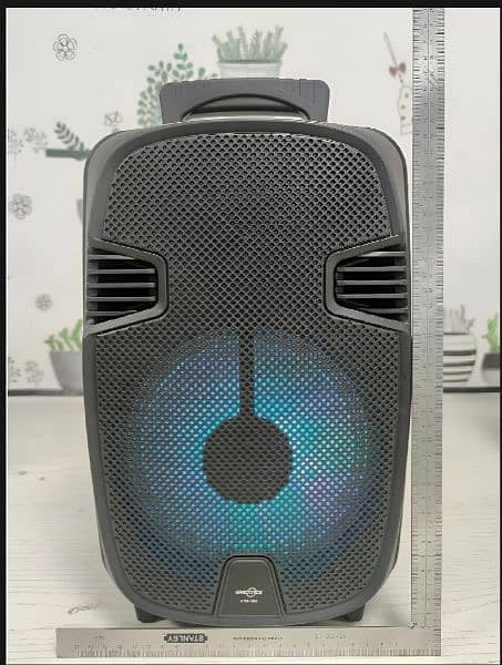 GTS1248 speaker (not single time used) i ordered from draz mistakenly 1