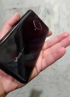 vivo