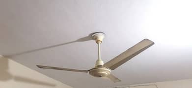 Rex Ceiling fan 10/10 Condition 0