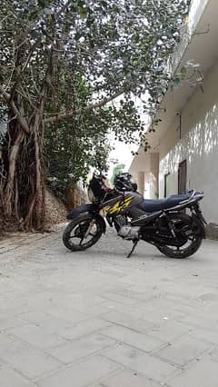 Yamaha