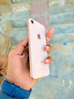 iphone 8 golden Colour Demanded