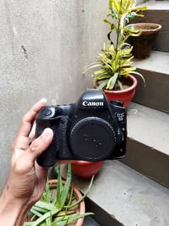 canon 6d 0