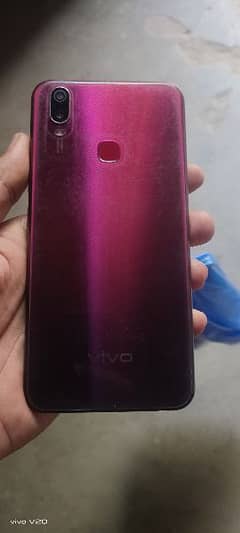 vivo