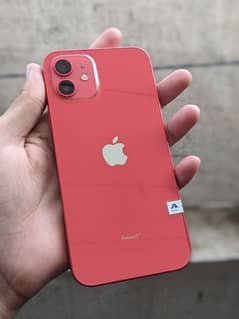 iPhone 12 Non pta FU 0