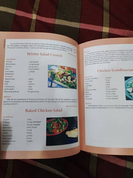 Al Nisa Recipe Book New with delicious recipes. 6