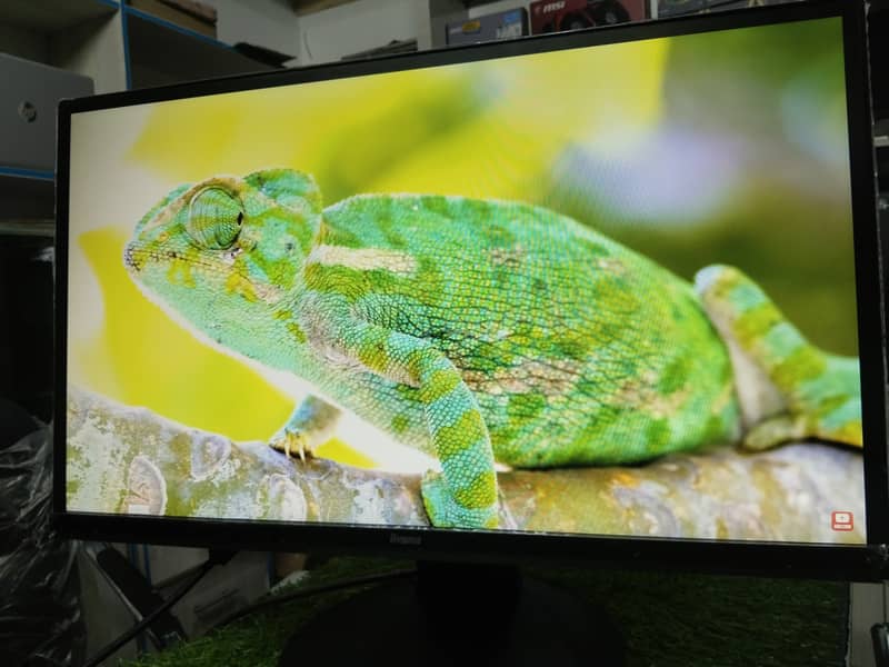 led 24" IIyama 1