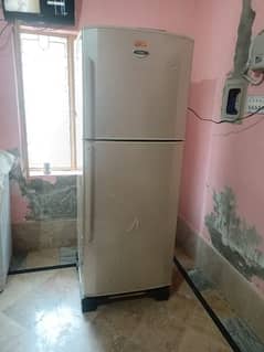 haier fridge full size