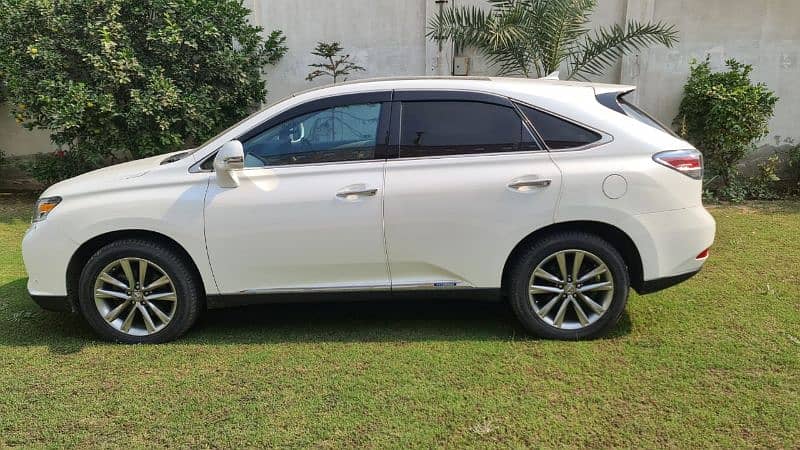 Lexus RX Series 2013 6