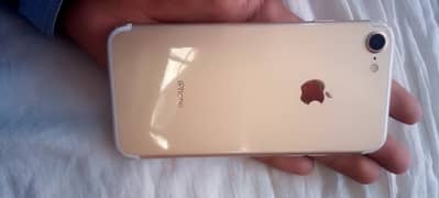 I phone 7pta