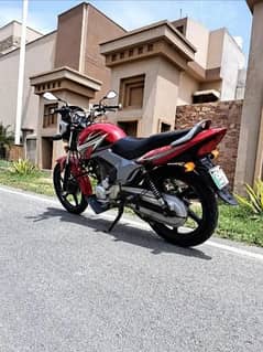 Honda CF 125F for sale