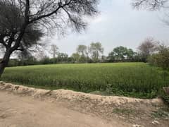 7 Kanal Ideal Plot For Sale At Main Multan Road