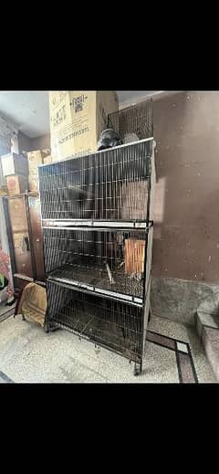 large cage for african gray, macaw, cockatoo