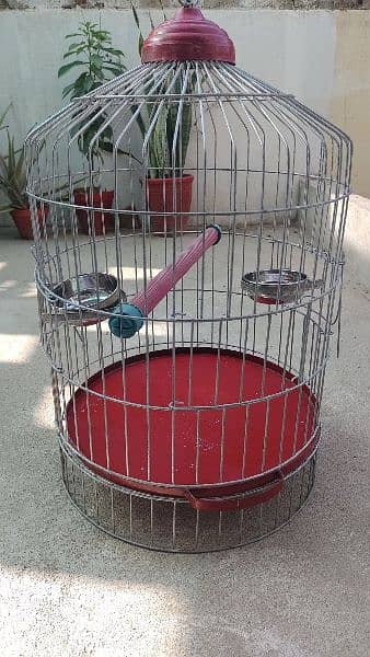 Parrot cage 4