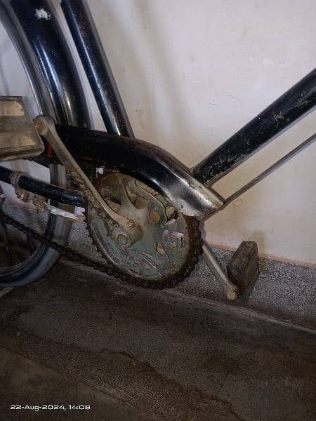 Bicycle For Sell 3