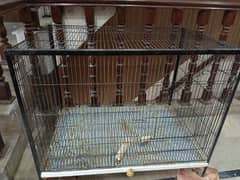 raw ya ringneck cage and lovebirds cages used condition 03258242951