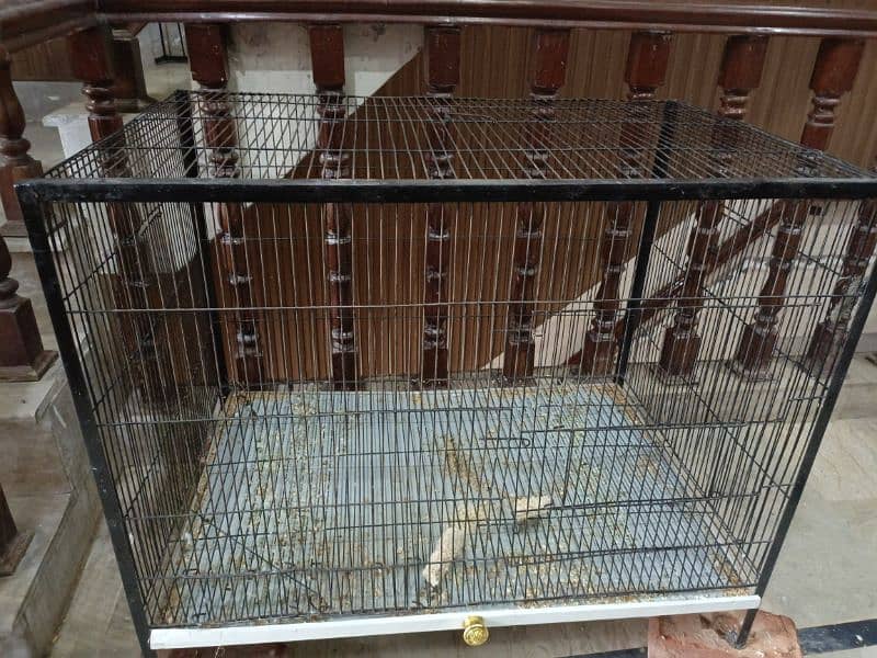 raw ya ringneck cage and lovebirds cages used condition 03258242951 0