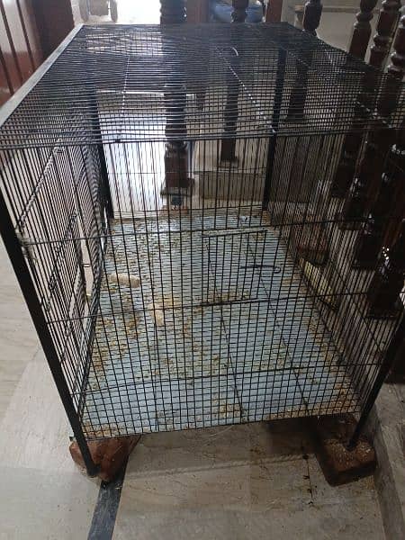 raw ya ringneck cage and lovebirds cages used condition 03258242951 2