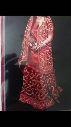 Barat lehenga/Sharara