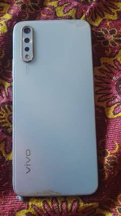 vivo