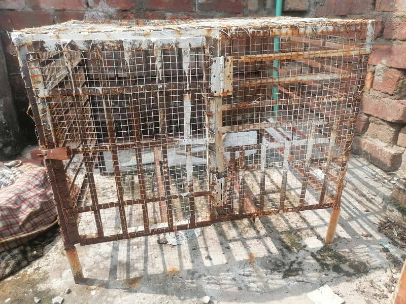 best cages for hens 2