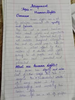 Handwritten assignment