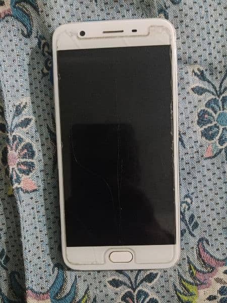 oppo lush condition 1