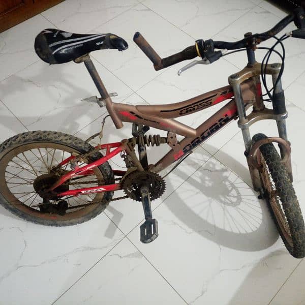 Cycle for Sale 1