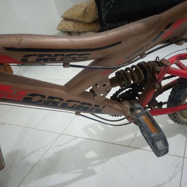 Cycle for Sale 4