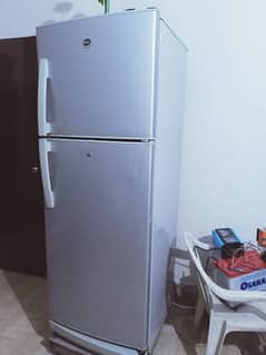 PEL fridge